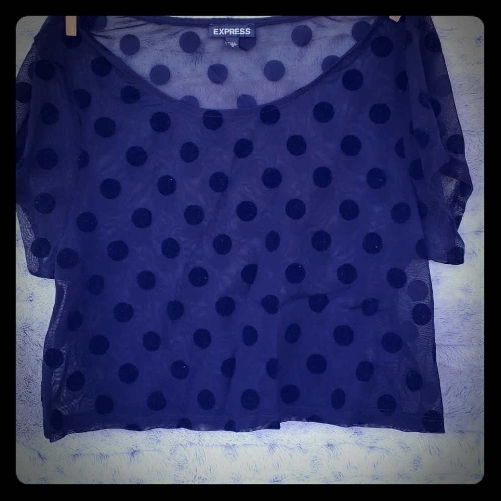 Express Sheer Pokadot Crop Top